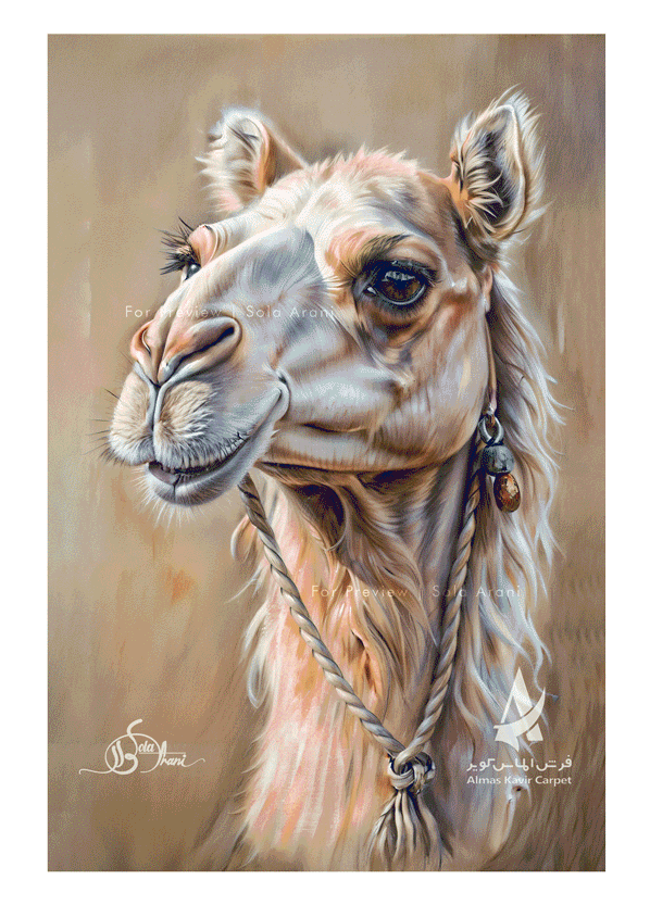 Animal-Studies-4