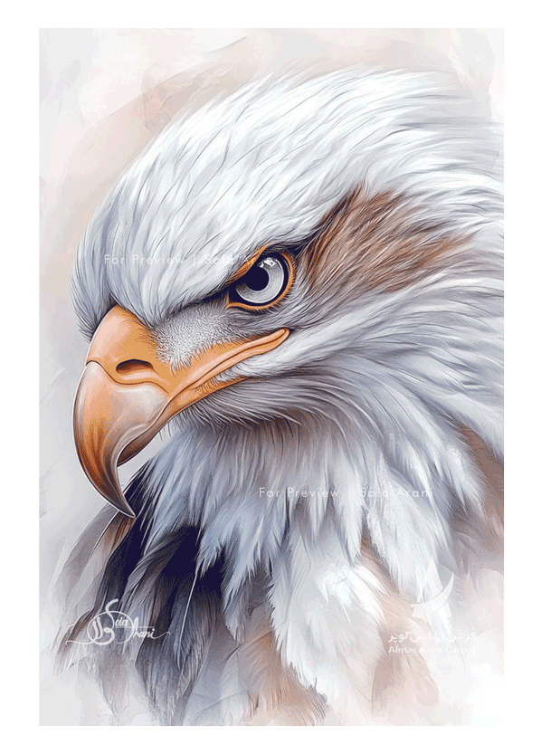 Bird-Studies-11