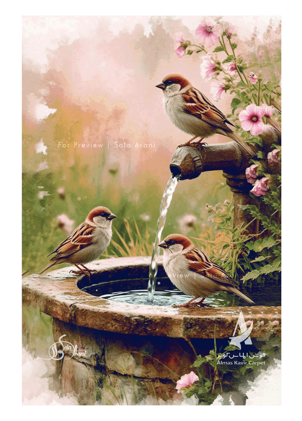 Bird-Studies-16
