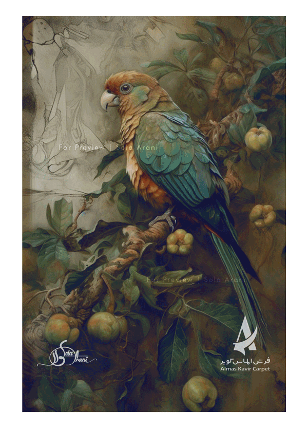 Bird-Studies-17