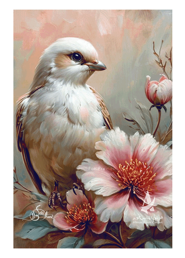 Bird-Studies-24