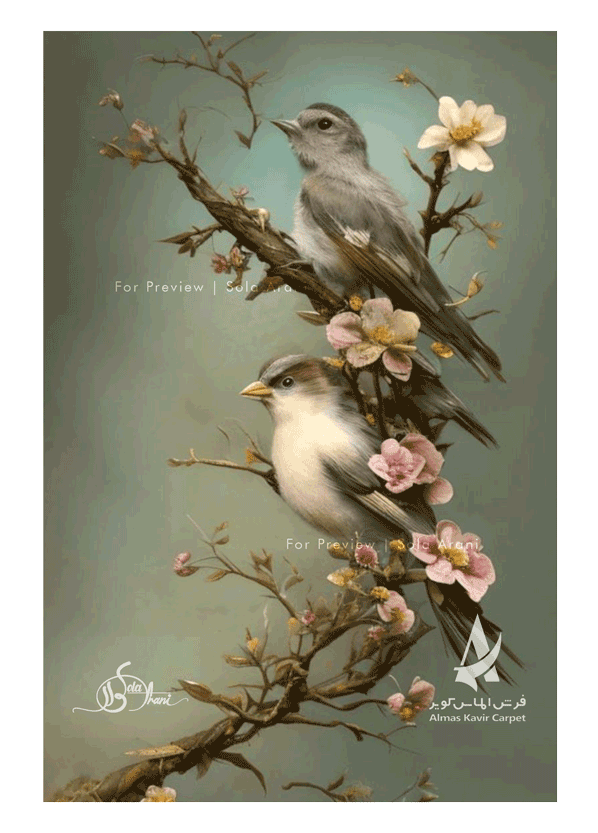 Bird-Studies-32
