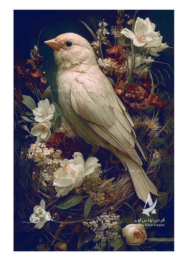 Bird-Studies-34