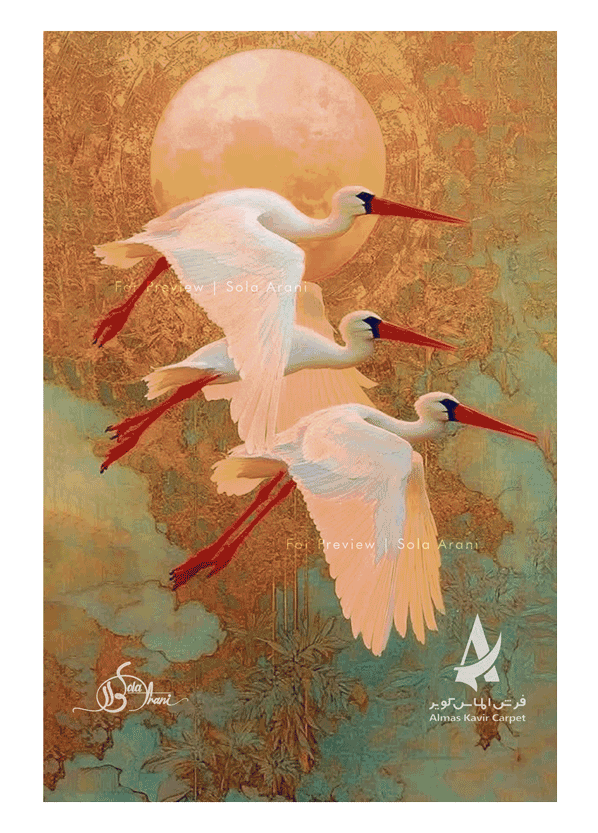 Bird-Studies-35