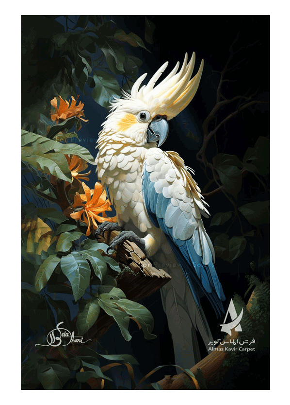 Bird-Studies-7
