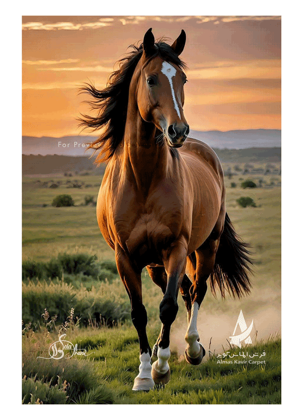 Horse-Studies-1