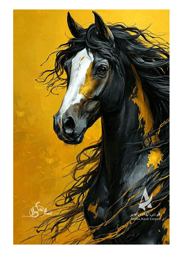 Horse-Studies-26
