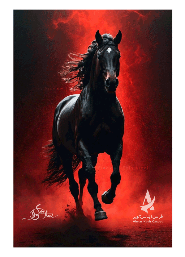 Horse-Studies-32
